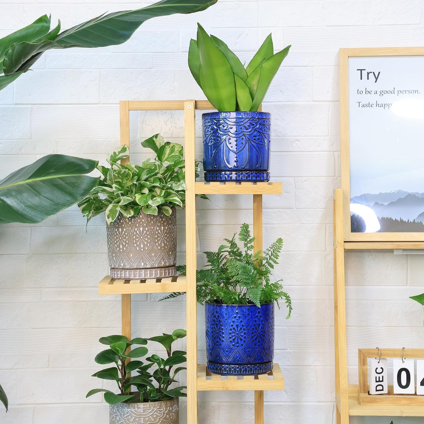 Ceramic Pots for Indoor Plants with Drainage Holes and Saucers, Ceramic Planter for Plants, Flower Pot - Set of 2