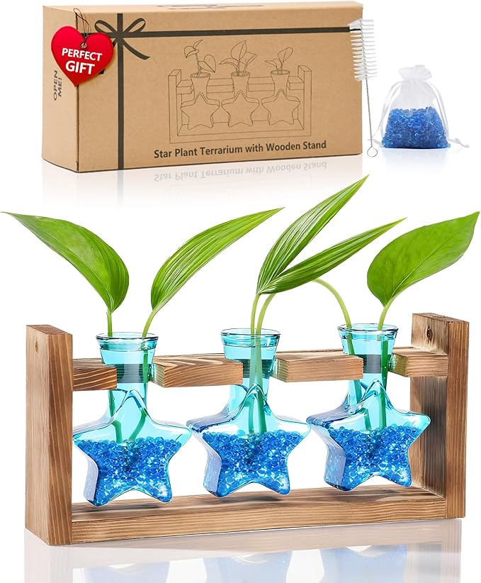 Nacome Star Glass Propagation Stations: Plant Terrarium with Wooden Stand Vase for Home Office Desk Decor, Unique Gifts for Plant Lovers Women Mom (Blue)