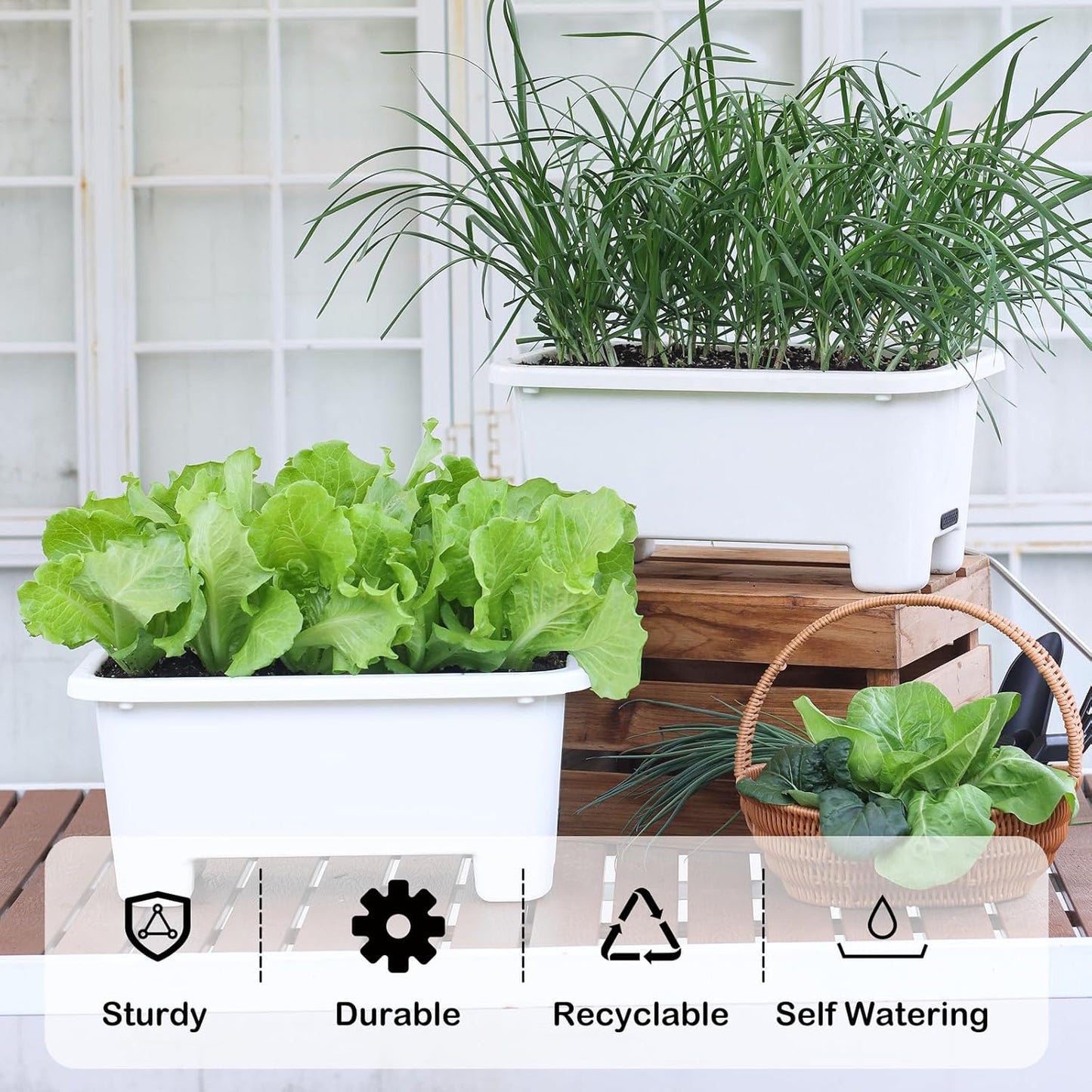 Self-Watering Rectangle Planter Boxes 8-Pack, 15.7-Inch Window Box Planter with Drainage Holes & Trays, Pots for Vegetables, Herbs, Flowers, Garden Windowsill Balcony (White, 15.7*8.3*7.1 inch)