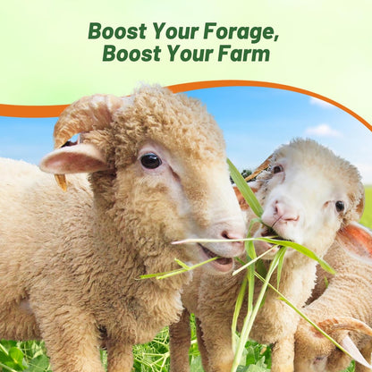 Outsidepride Dundale Spring Field Peas Seeds - 5 lbs. Annual, High-Protein Legume & Cover Crop Seeds for Forage, Food Plot, Gardens & Pastures - Ideal for Improving Soil Health, & Erosion Control