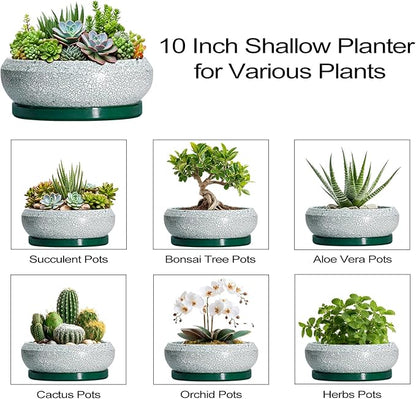 Succulent Planters 10 Inch - Ceramic Bonsai Pots with Drainage Hole and Saucer, Large Succulent Pots Indoor, Shallow Planter, Round Bowl Planter Outdoor, Patio Decor, Plant Lover Gift, Green