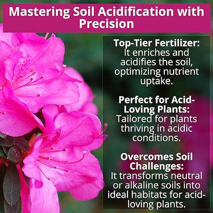 8-4-8 Acidic Fertilizer for Azaleas, Camellias (Camelia), Hydrangeas, Blueberries, Gardenias, Magnolia Trees, Evergreens, and Rhododendrons - Ideal Iron-Rich Plant Food (4 QUARTS)