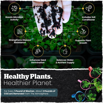 Wakefield Premium Biochar Soil Conditioner – 100% Pure Organic Biochar Soil to Boost Nutrient Retention and Water Efficiency for Houseplants, Gardens, & Lawns – 4 Quarts