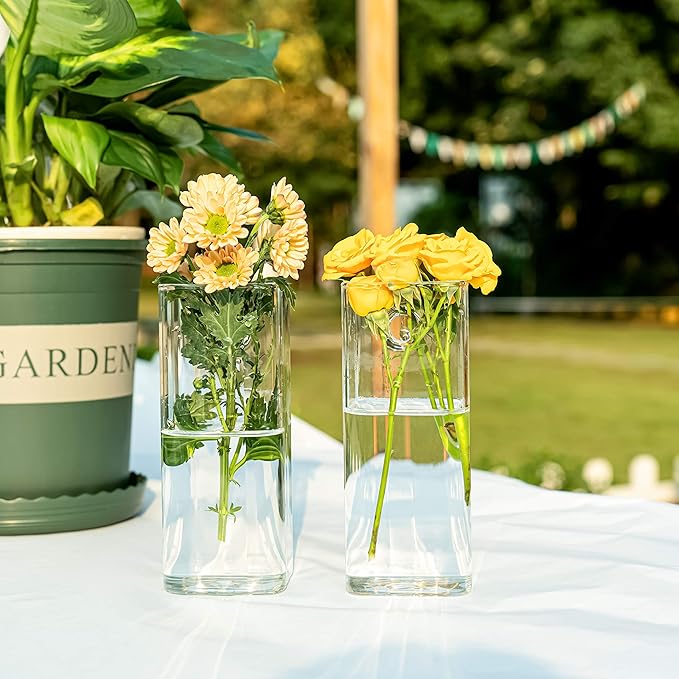 Kingbuy Plant Terrarium Container Propagation Station Square Tube Vase Wall Hanging Glass Planter Indoor Hydroponic Plants Home Office Garden Decor, 2 Pack