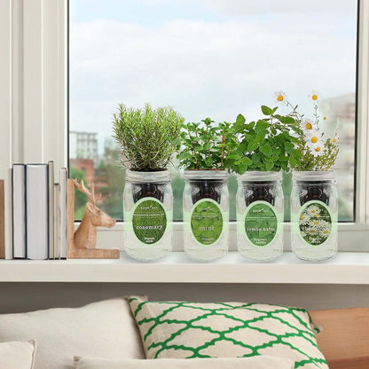 Hydroponic Mason Jar Organic Herbal Tea Seed Starter Kits - Herbal Tea Garden Growing Kits, Gardening Gift, Grow Your Own Herbal Teas Indoor (Chamomile, Mint, Lemon Balm, Rosemary)