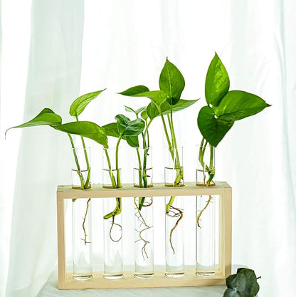 Wooden Propagation Station with 5 Glass Test Tubes, Tabletop Glass Terrarium Holder for Plant Cuttings Hydroponics, Home Office Desk Decor Gift for Women Mom Plant Lovers, Beige