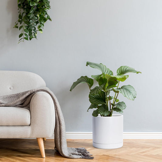 D'vine Dev 8.2 Inch & 10 Inch Ceramic Planter Pot for Plants with Drainage Hole and Saucer, Large Plant Pots Set, White, 94-G-L-1