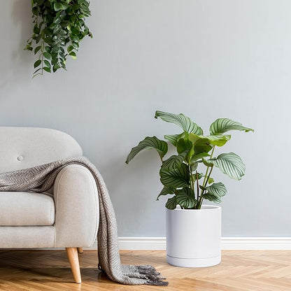 D'vine Dev Set of 2 Plants Pots, 10 Inch Ceramic Planter Pot for Plants with Drainage Hole and Saucer, White, 94-V-E-1