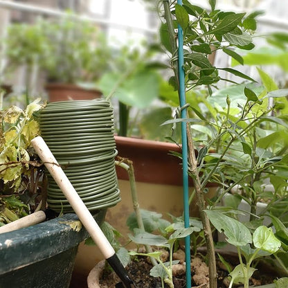 101 Feet Soft Plant Ties Dark Green Plant Twist Ties, Plant Ties for Support. Gardening Supplies for Plants Office Home Organization 3mm Diameter