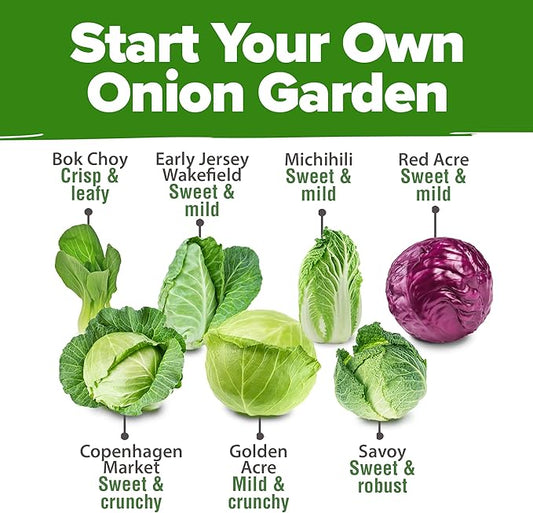 HOME GROWN 7 Cabbage Seeds for Planting - 2000+ Heirloom 𝗡𝗢𝗡-𝗚𝗠𝗢 𝗨𝗦𝗔 Seeds - Golden Acre,BokChoy,Savoy,Michihili, Red Acre, Copenhagen Market,Jersey Wakefield - Vegetable Seeds for Planting