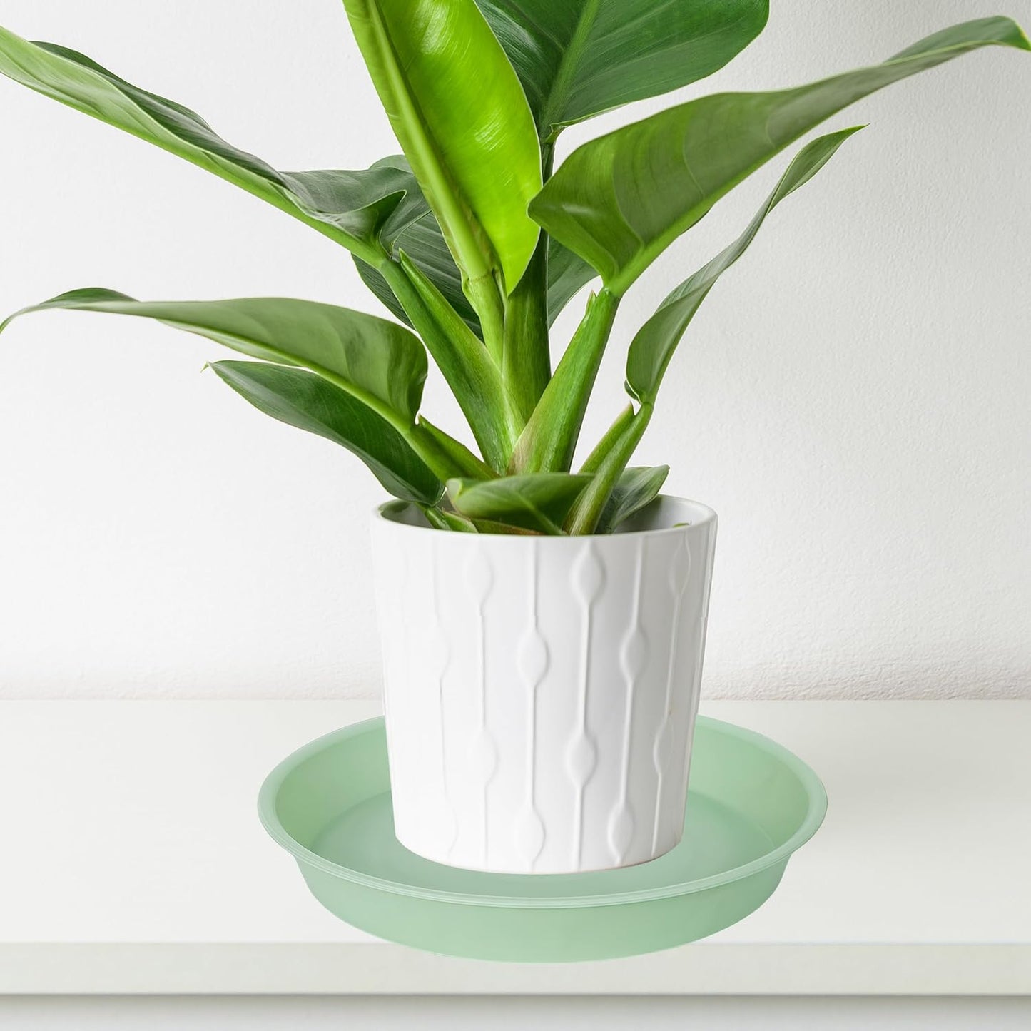 2 Pack of Bird Bath Bowl 12", 1.6" Depth, 10 12 inch Birdbath Bowls Dish Only for The Garden, Large Plant Saucer (12", Light Green)