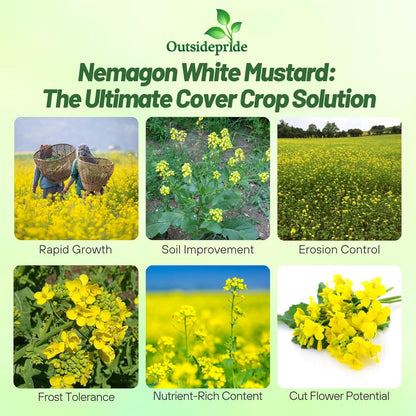 Outsidepride White Mustard Seeds for Planting - 5 lb Annual Cover Crop Seeds w/Deep Root System, High Protein Forage, Ideal for Soil Fertility, Crop Rotations, & Livestock Nutrition