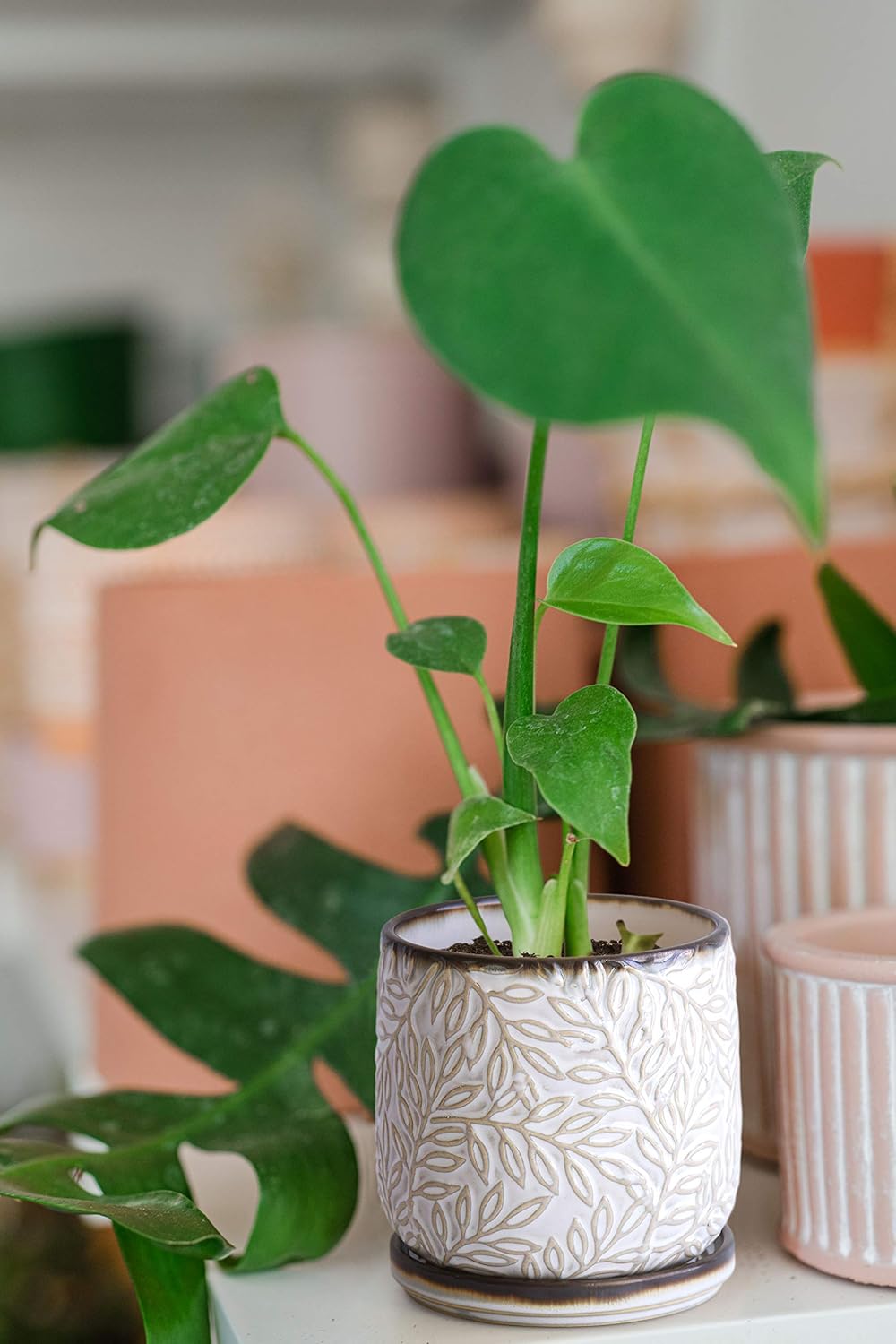 D'vine Dev 4 Inch Embossed Leaves Stoneware Planter Pot with Drainage Hole and Saucer, Smoked White, Set of 1, 27-A-Z-1