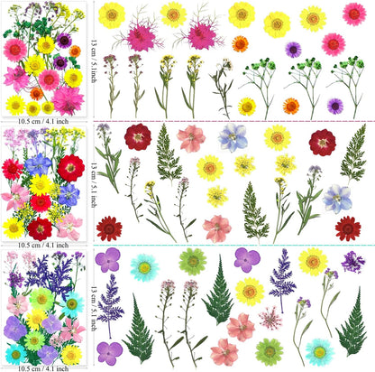 192Pcs Dried Pressed Flowers for Resin, Assorted Real Natural Bulk Dry Floral Leaves for DIY Art Crafts, Epoxy Molds, Jewelry, Soap, Candle Making, Nails Decors