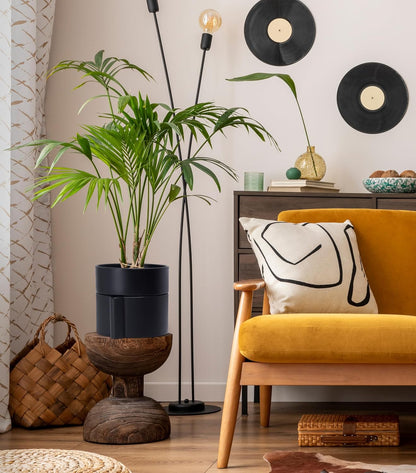 Phoenix Vine 8 Inch Self-Watering Planter Pot with Terracotta Insert, Deep Water Reservoir, and Ceramic-Alike BPA-Free Plastic Planter Pot for Plant, Modern Planter for Houseplants, Black, 53-A-T-2