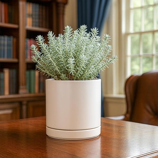 D'vine Dev Set of 2 Plants Pots, 6.5 Inch Ceramic Planter Pot for Plants with Drainage Hole and Saucer, Oatmeal, 94-V-C-8