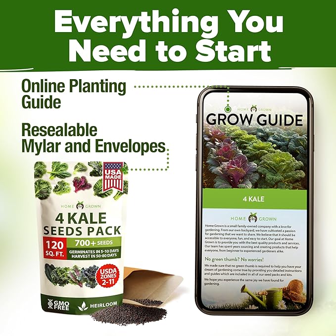 HOME GROWN 𝗨𝗦𝗔 𝗣𝗥𝗘𝗠𝗜𝗨𝗠 Heirloom Vegetable Seeds 𝗡𝗢𝗡-𝗚𝗠𝗢 Vegetable Seeds for Planting Home Garden, Beans, Carrots, Peppers, Cucumber, Kale, Pepper Seeds, Tomato (4 Kale)