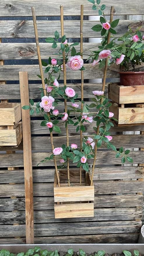 Natural Bamboo Trellis, 3Feet,3Pack,Fan-Shaped Plant Support Trellis for Outdoor and Indoor Potted Climbing Plants,Vegetables, Cucumber, Tomato, Hoya, Wisteria,Ivy,Orchid, Jasmine Monstera, Vine,