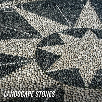 12 lb Black Pebble Rocks 3/5-8/5 Inch Polished River Stones for Indoor Plants, Garden Landscaping, Vase Fillers & Aquarium Decor - Natural Decorative Rocks for Succulents, Bonsai, Terrariums