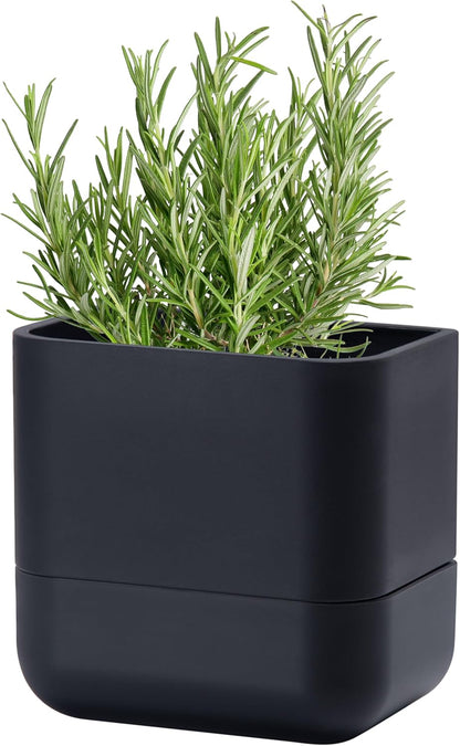 Phoenix Vine 6.5-Inch Wall Mounted Self-Watering Planter Pot for Indoor Houseplants and Herbs | Modern Hanging Planter for Window Sills, Bathroom Walls, Home & Office Décor, Black, Set of 1, 01-WP-B-1