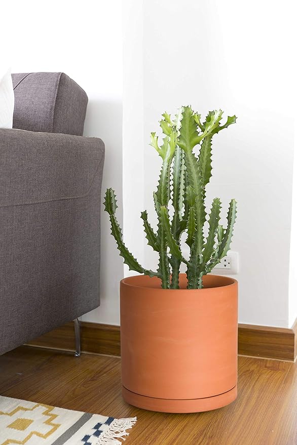 D'vine Dev Large 10 Inch Terracotta Plant Pot with Drainage Hole and Saucer, Round Cylinder Planter Pot for Indoor Plants, 40-X-A-5