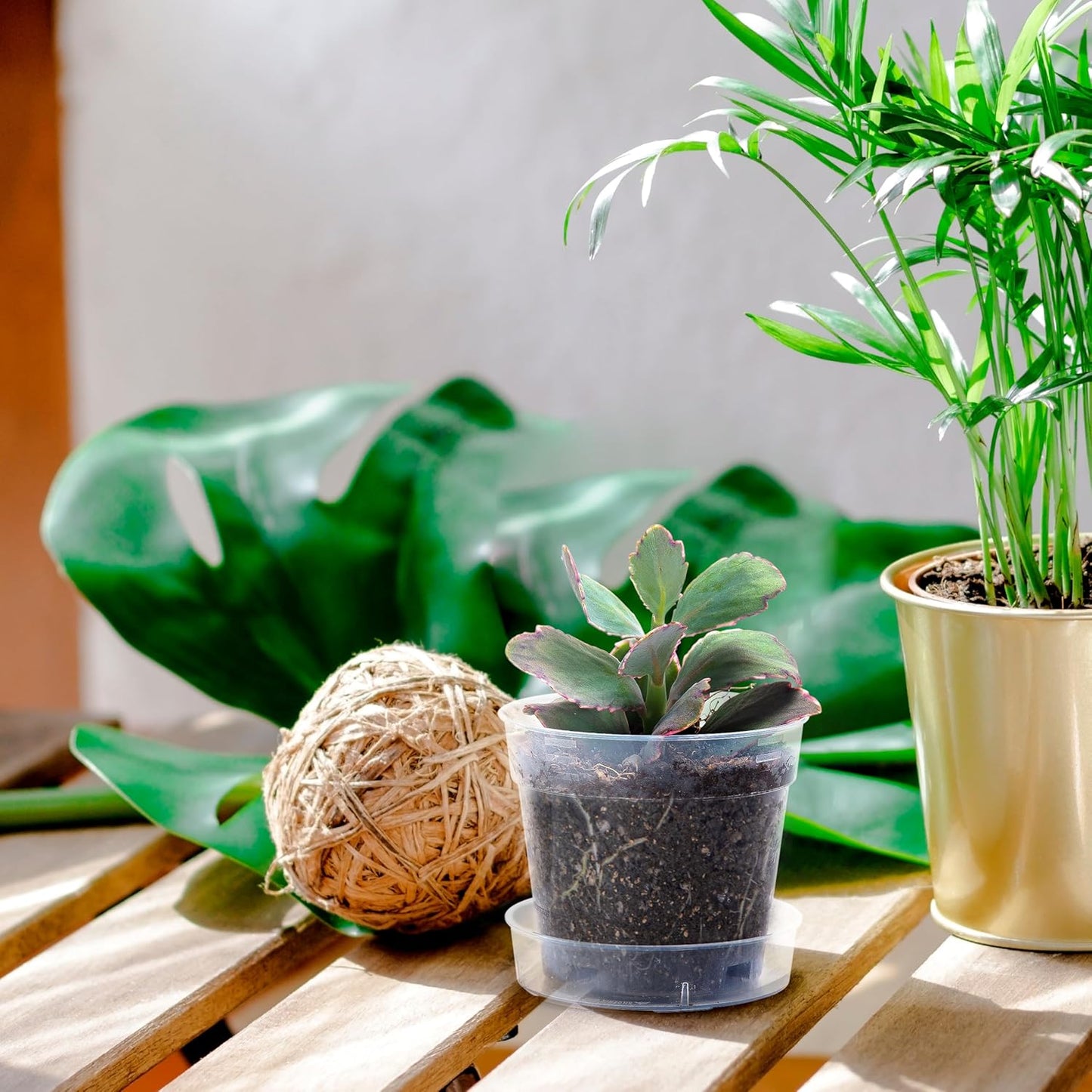 4 Inch Clear Plastic Plant Pot with Drainage Holes, Interlocking & Detachable Tray - Deep Saucer - Durable BPA-Free Plastic, Transparent Design, Raised Base for Airflow, Set of 24, 92-X-C-2