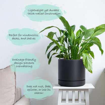 Phoenix Vine 6 Inch Planter Pot with Drainage Hole & Saucer, Deep Water Catch Tray, Straight Cylindrical Round Pot for Plants, Matte Black, Pack of 1, 23-C-S-1