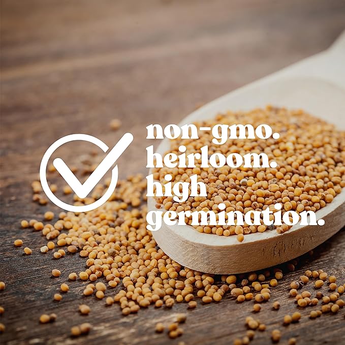 Blue Lake Bush Bean 274 Seeds - 5 Lbs - Non-GMO, Heirloom, Open Pollinated - Vegetable Garden Seeds - Green String Beans