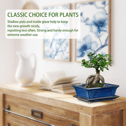 Bonsai Pots Small Shallow Succulent Planters for Live Bonsai Trees Set of 2, 7.5" Ceramic Pot for Succulents Indoor with Drainage Hole and Saucer, Outdoor Cactus Plant Bonsai Pot