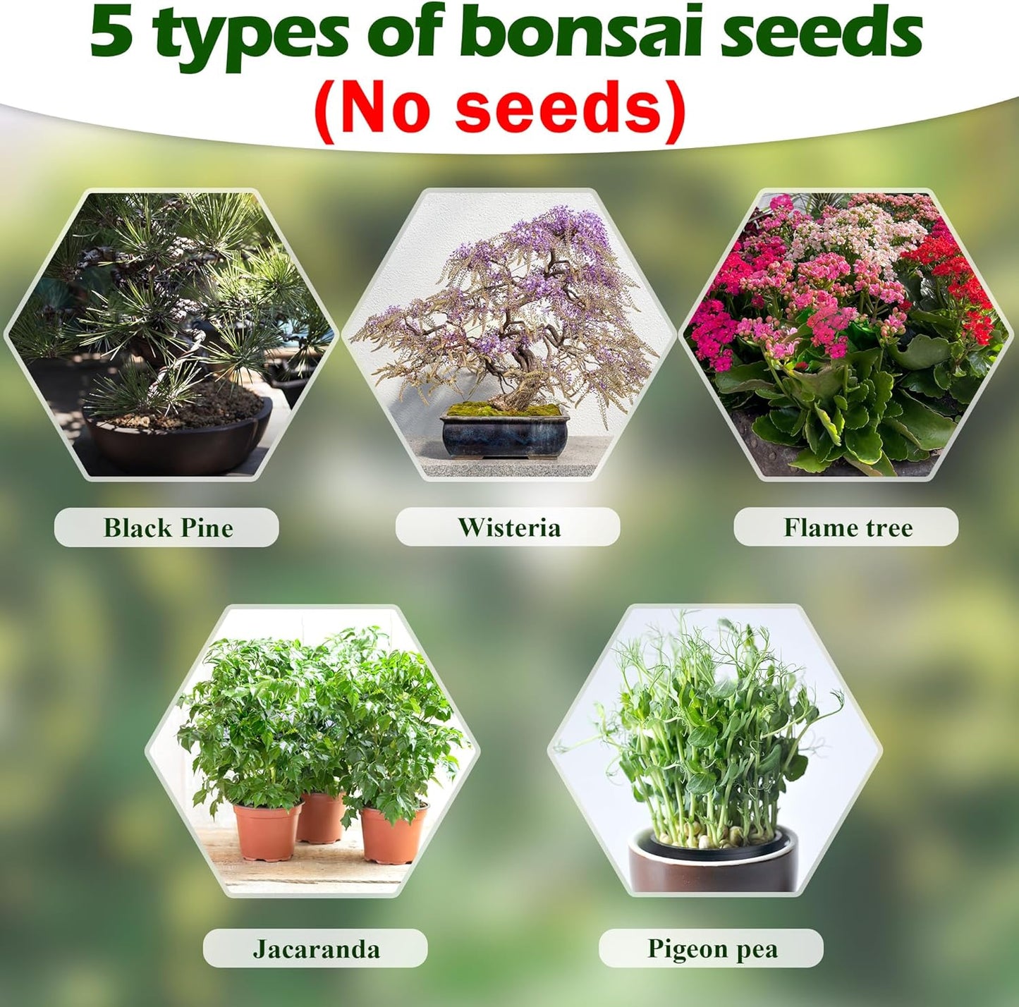 Bonsai Tree Kit, Wooden Bonsai Starter Kit, Coolrunner Bonsai Tree Starter Kit, Mini Bonsai Plant Growing Kit with Seeds Packets, Soil Discs, Jute Bags, Plant Markers, Gardening Tools etc (No Seeds)