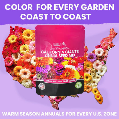 NatureZ Edge Zinnia Seeds for 2025 Planting Outdoors, Over 8250 Flower Seeds, 2 Oz, Non GMO Made in USA, Bulk Semillas De Flores para Sembrar, California Giants, Easy to Grow Zinnia Seed Mix