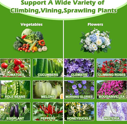 Trellis for Climbing Plants Outdoor, 75 Inch Tall Heavy Duty Metal Garden Trellis Tower Potted Cages for Flowers Fruits Vegetable Cucumber Tomato Potted Rose Clematis Pea Bean Raised Bed Trellises