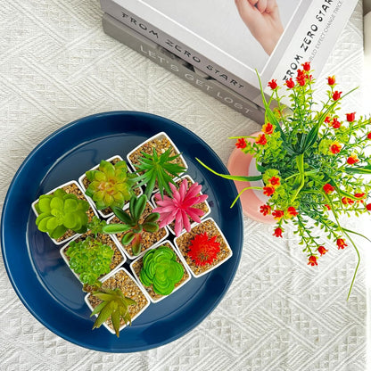 Ceramic Plant Saucers, 10 Inch (11 Inch) Plant Trays, Durable Round Glazed Ceramic Flower Plant Water Drip Tray for Pots Planter, Heavy Duty Plant Dish Plant Plate to Catch Water for Indoor & Outdoor