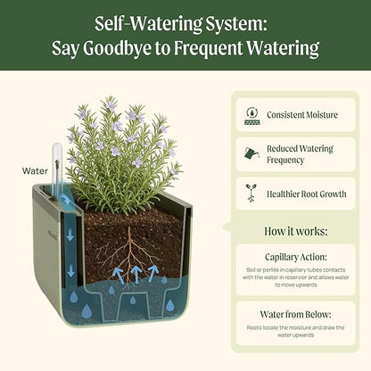 Vego garden Herb Indoor Plant Box, Self Watering Planters Pots for Indoor Plants with Trellis for Kitchen Window Sill or Countertop Plants Cage - Sage Green