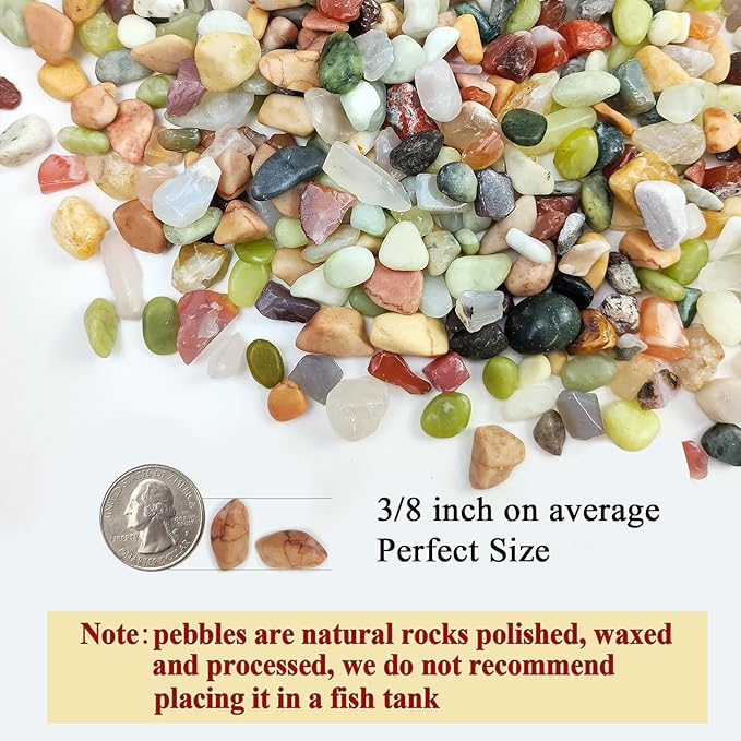 5lbs Small Succulent Rocks, 3/8 Inch Colorful Pebbles for Plants, Decorative Rocks for Plants Indoor, Vases, Planters and Outdoor Gardening Stones