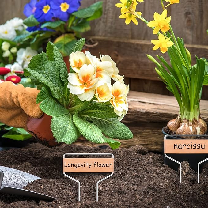 50 PCS Metal Plant Labels Plant Tags 4 Inch Plant Markers For Garden Waterproof Copper Plant Tags Outdoor Garden Label Stakes Reusable Nursery Tags Garden Plant Copper Label For Seedlings