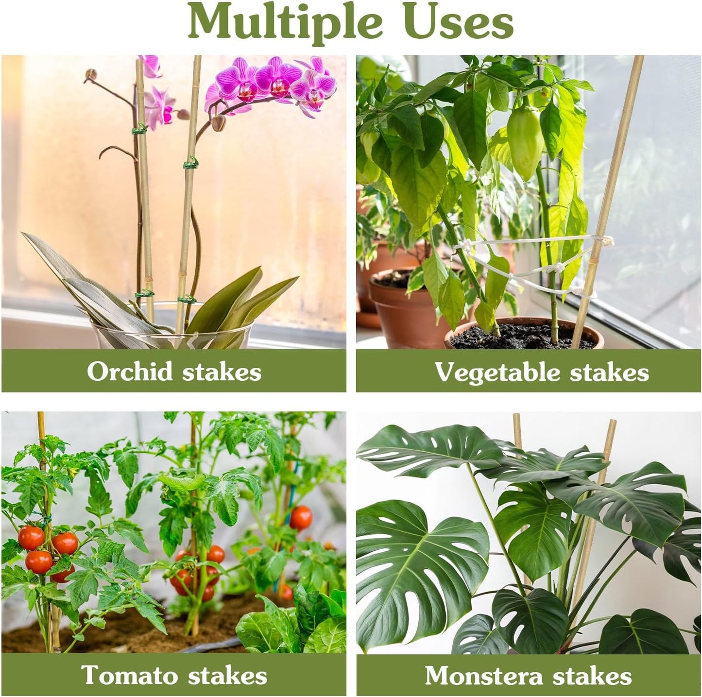 Plant Stakes 18inch, 20Pcs Natural Bamboo Sticks Garden Stakes, HAINANSTRY Plant Support Stakes for Indoor & Outdoor Plants, Orchid Tomato Vegetable Stakes for Garden