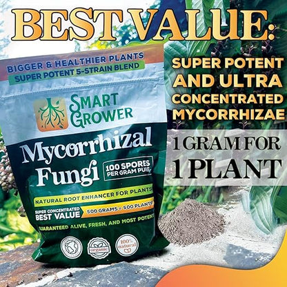 Mycorrhizal Fungi Organic Root Enhancer for Plants, Super Potent 100 Spores Per Gram, 5-Strain Blend, Rapid Results for Gardens, Houseplants, Lawns, Mycorrhizae Smart Grower 500 Grams for 500 Plants