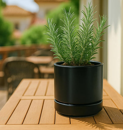 D'vine Dev 3 Inch & 4 Inch & 6 Inch, Set of 3 Round Ceramic Planter Pot with Drainage Hole and Saucer, Black, 94-T-S-2