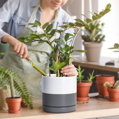 D'vine Dev 3 Inch & 4 Inch & 6 Inch, Set of 3 Round Ceramic Planter Pot with Drainage Hole and Saucer, White/Speckled Grey, 94-T-S-6