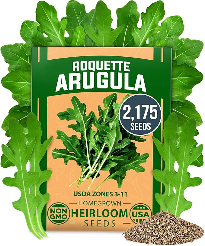HOME GROWN 𝗨𝗦𝗔 𝗣𝗥𝗘𝗠𝗜𝗨𝗠 Arugula Roquette Seeds Pack 2,175 𝗡𝗢𝗡-𝗚𝗠𝗢 Heirloom Arugula Seeds for Planting Best for Outdoor Gardens,Providing Fast-Growing Greens for Salads - Eruca vesicaria