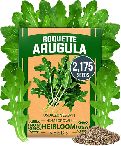HOME GROWN 𝗨𝗦𝗔 𝗣𝗥𝗘𝗠𝗜𝗨𝗠 Arugula Roquette Seeds Pack 2,175 𝗡𝗢𝗡-𝗚𝗠𝗢 Heirloom Arugula Seeds for Planting Best for Outdoor Gardens,Providing Fast-Growing Greens for Salads - Eruca vesicaria