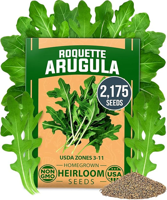 HOME GROWN 𝗨𝗦𝗔 𝗣𝗥𝗘𝗠𝗜𝗨𝗠 Arugula Roquette Seeds Pack 2,175 𝗡𝗢𝗡-𝗚𝗠𝗢 Heirloom Arugula Seeds for Planting Best for Outdoor Gardens,Providing Fast-Growing Greens for Salads - Eruca vesicaria