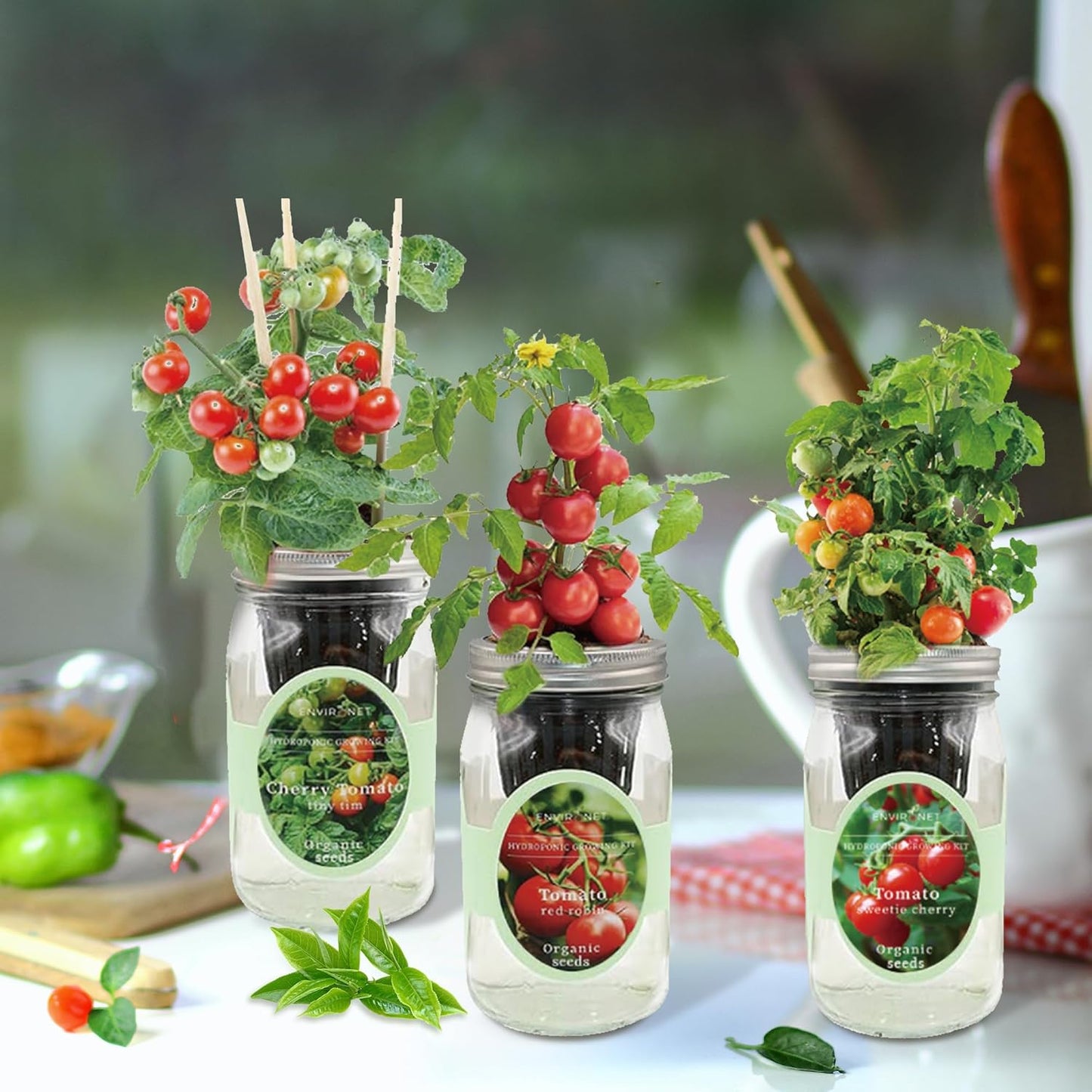 Hydroponic Mason Jar Indoor Garden Organic Seed Starter Kits - Tomato Trio Garden Growing Kits, Gardening Gift (Red Robin Tomato, Cherry Tomato - Tiny Tim, Sweetie Cherry Tomato)