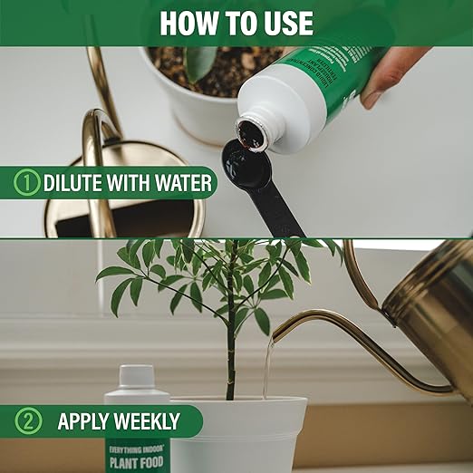 Humboldts Secret Everything Indoor Plant Food with Kelp | Liquid Concentrate Indoor Plant Fertilizer 3-3-3 All Purpose Plant Food for House Plants (8 Ounce)