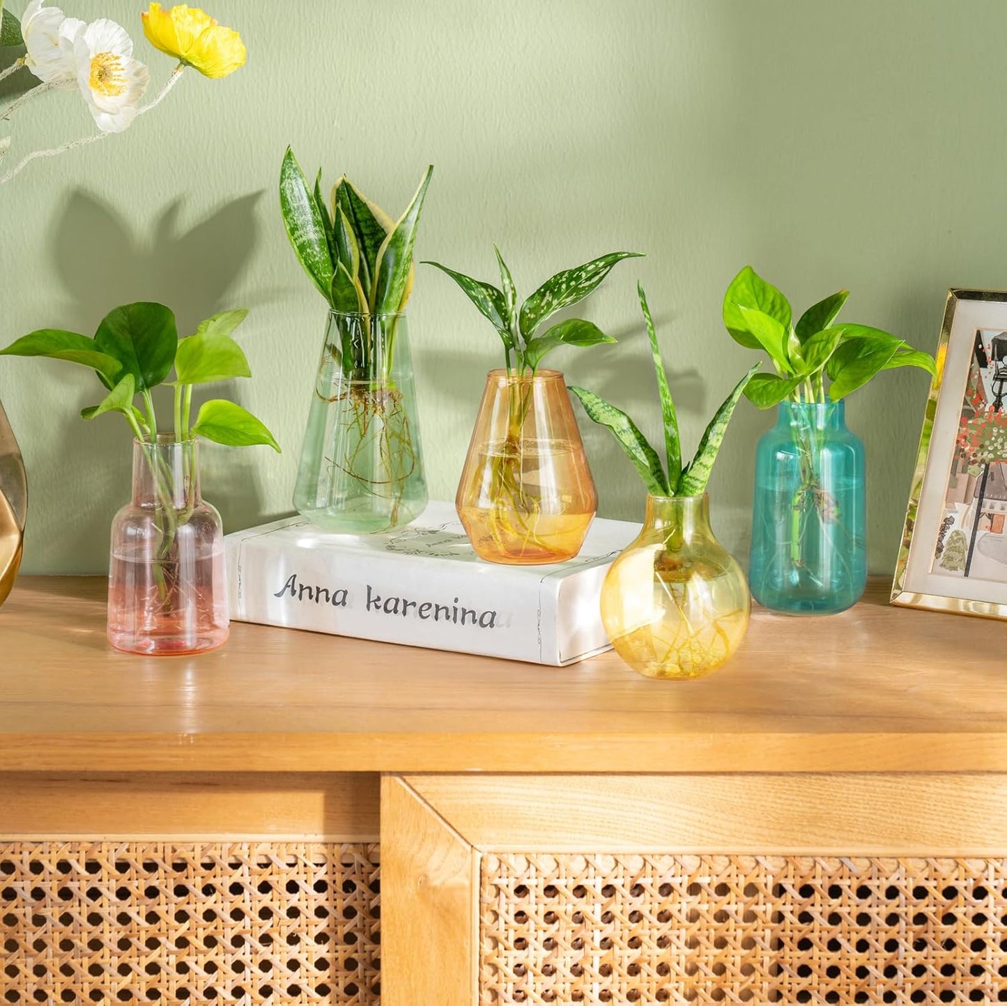 Mkono Propagation Vases for Plants, Set of 5 Small Glass Jar Planters for Hydroponic Cutting Flowers, Plant Station Bud Vases for Centerpieces Home Office Decor Gift (Colorful)