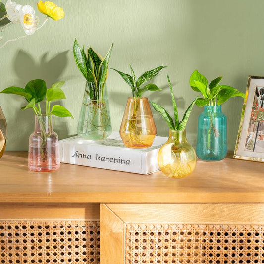 Mkono Propagation Vases for Plants, Set of 5 Small Glass Jar Planters for Hydroponic Cutting Flowers, Plant Station Bud Vases for Centerpieces Home Office Decor Gift (Colorful)