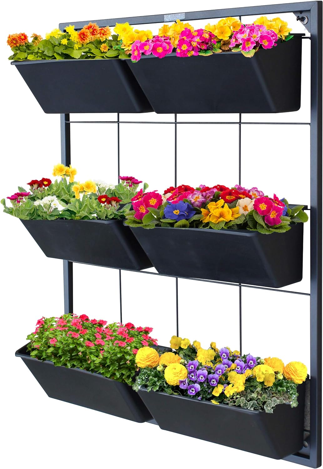 Vertical Garden Wall Planter. Ideal Indoor or Outdoor Container Gardening. Includes 6 Removable Pots and Wall Mounted Metal Frame. Self Draining Garden for Vegetables, Flowers or Herbs.