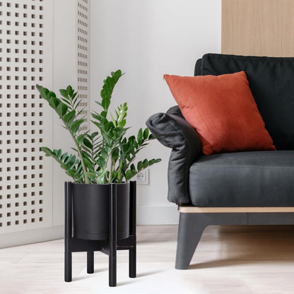D'vine Dev Planter Pot with Stand - 8 Inch Plastic Cylinder Flower Pot with Wood Planter Holder for Indoor, Matte Black Pot + Ebony Stand, 55-C-K-2