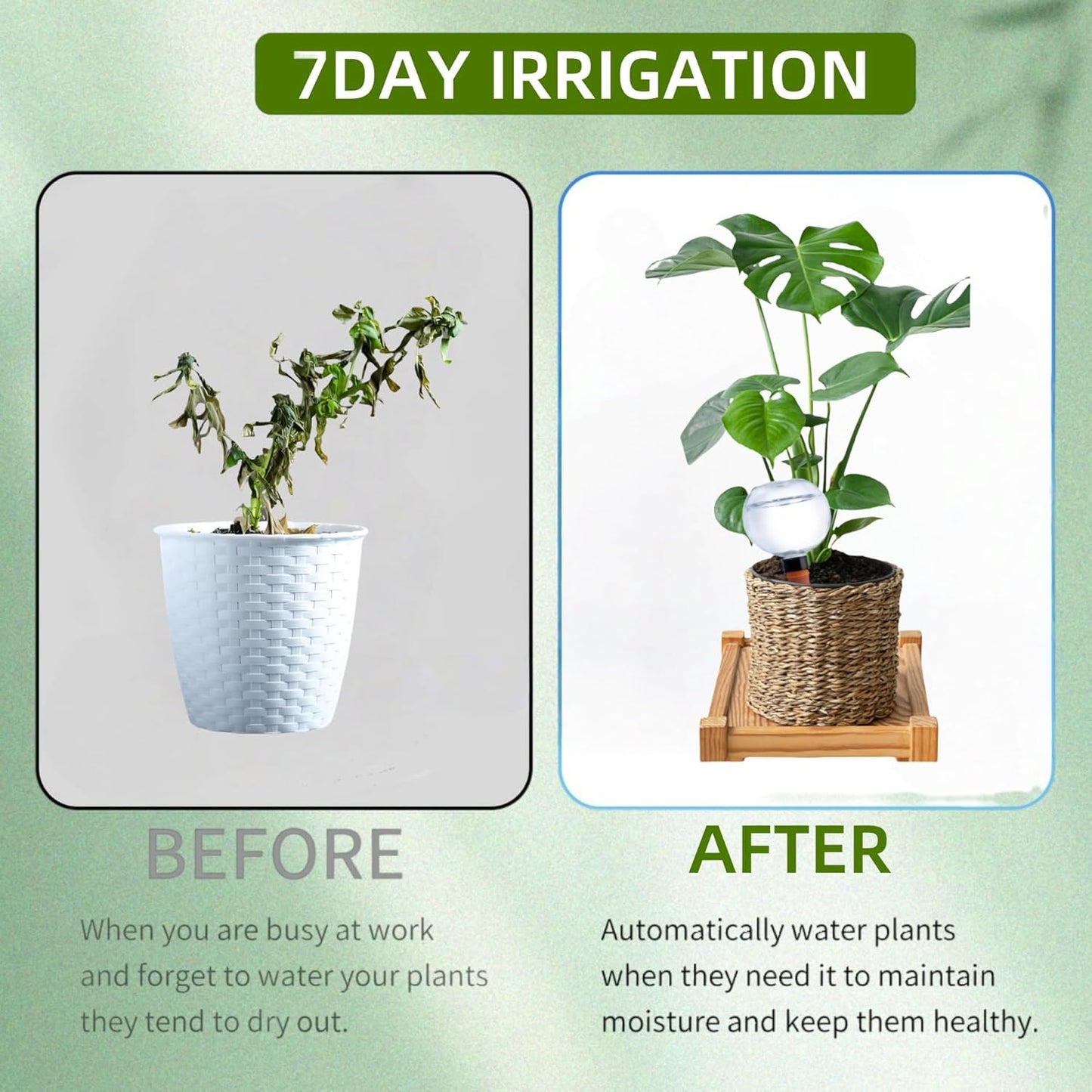 2 Pack Self Watering Globes for Indoor & Outdoor Plants – 17oz Automatic Watering Bulbs for Houseplants –Slow Release Control Water Dripper for Plants – Plant Watering Devices While Away